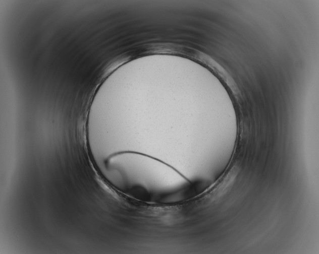 X0000087321433200705112128