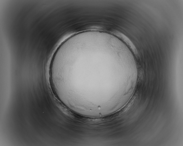 X0000087321435200705112128