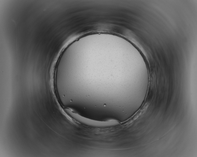 X0000087321437200705112128