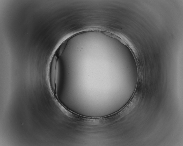 X0000087321438200705112128