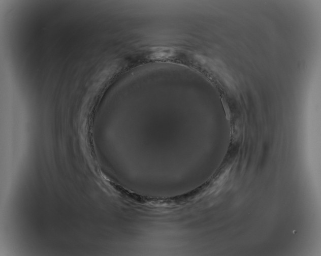 X0000087321441200705112127