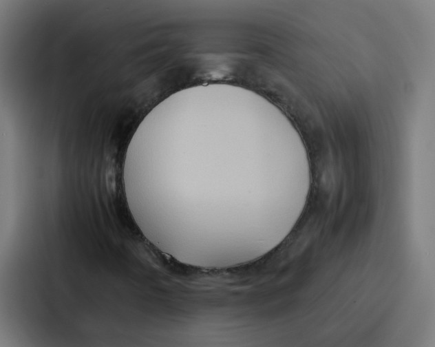 X0000087321442200705112127