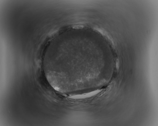 X0000087321445200705112127