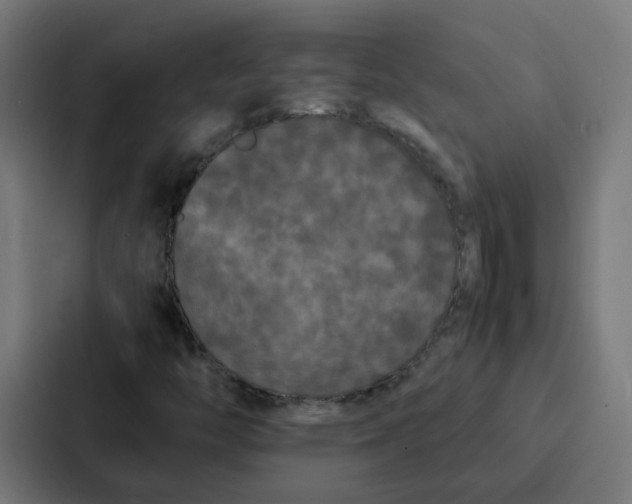 X0000087321446200705112127