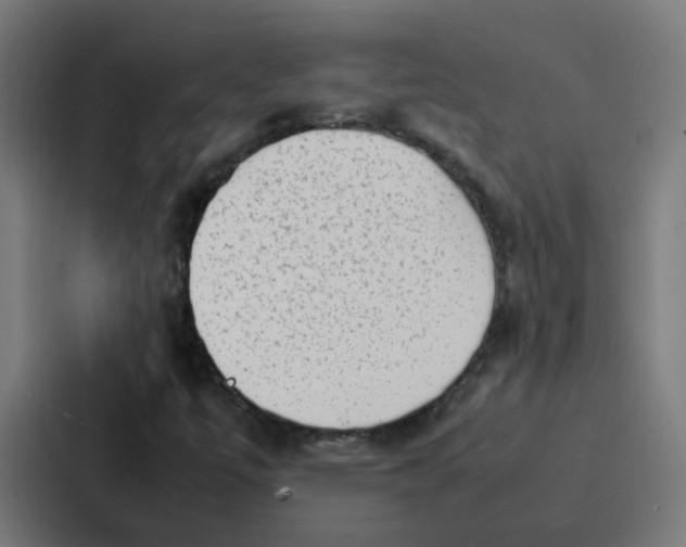 X0000087321447200705112127