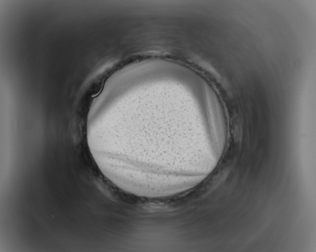 X0000087321448200705112127