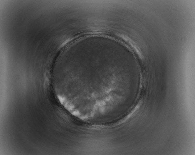 X0000087321449200705112127