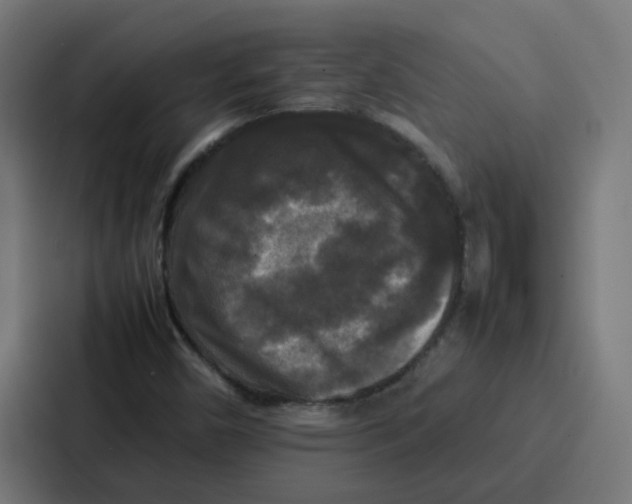 X0000087321450200705112127