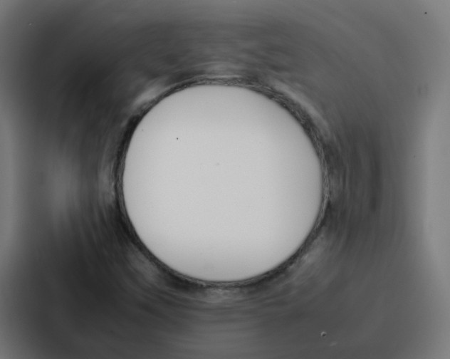 X0000087321451200705112127