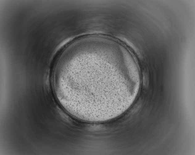 X0000087321452200705112127