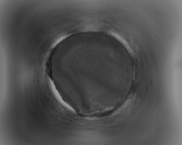 X0000087321453200705112127