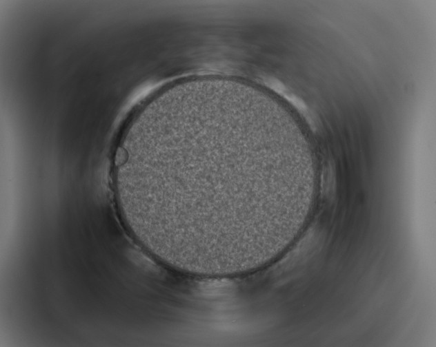 X0000087321454200705112127