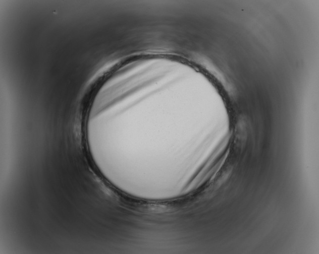 X0000087321456200705112127