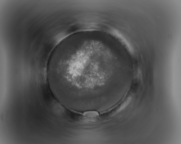 X0000087321457200705112127