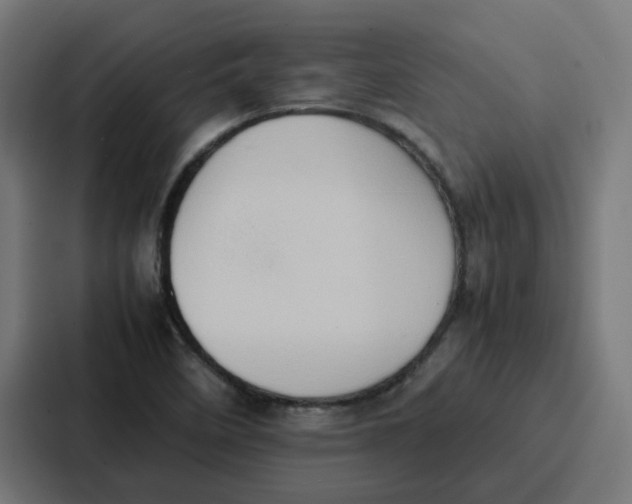 X0000087321458200705112127