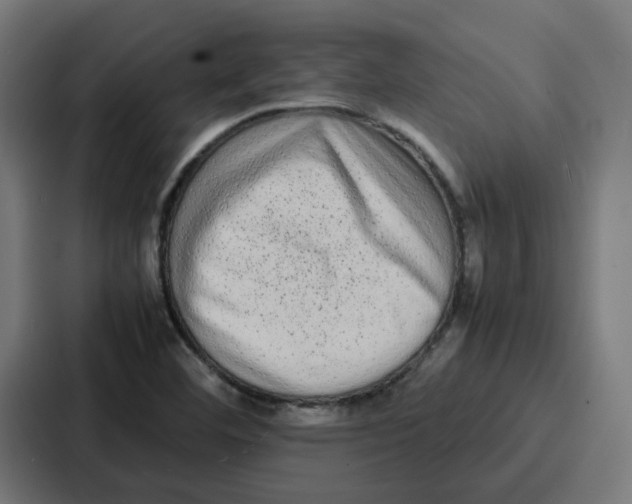 X0000087321460200705112127