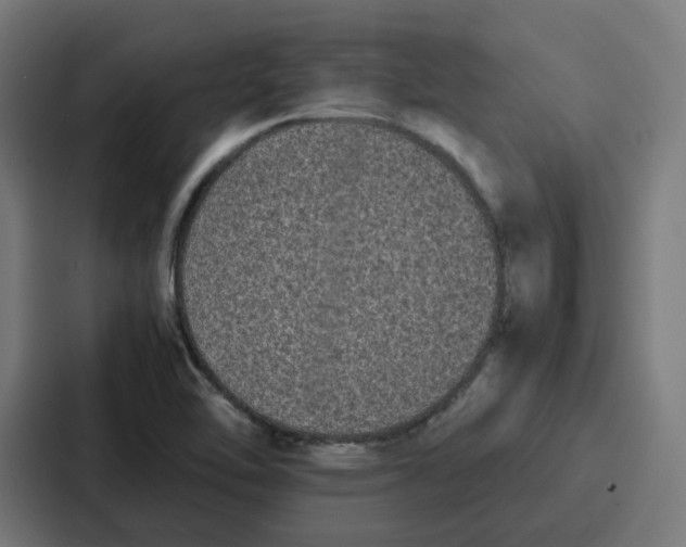 X0000087321462200705112127