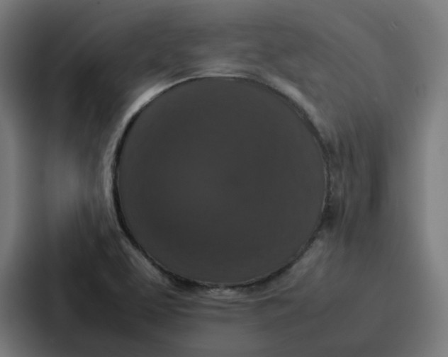 X0000087321463200705112127