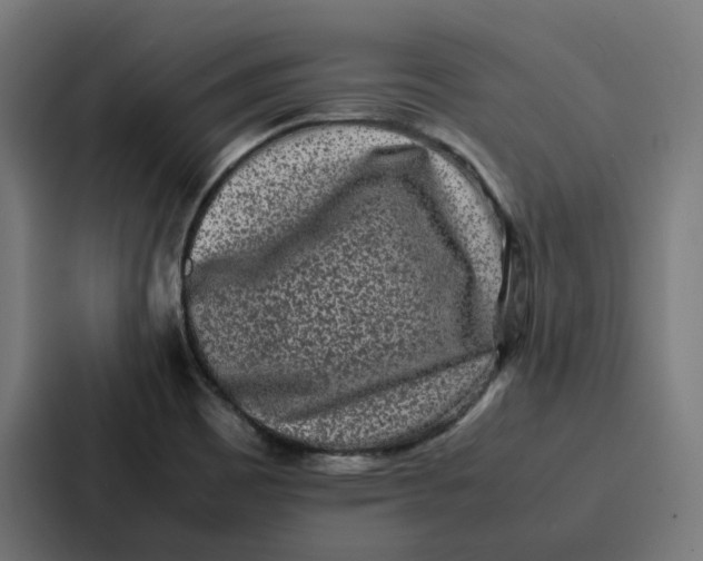 X0000087321465200705112127