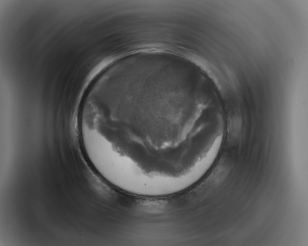 X0000087321466200705112127