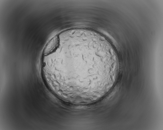 X0000087321467200705112127