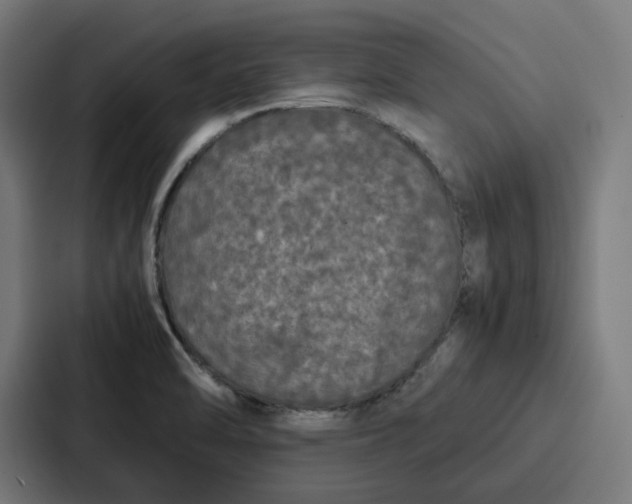 X0000087321470200705112127