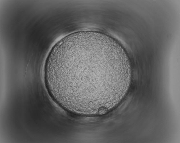 X0000087321471200705112127