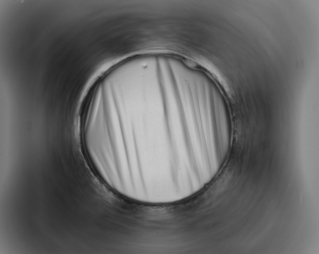 X0000087321472200705112127