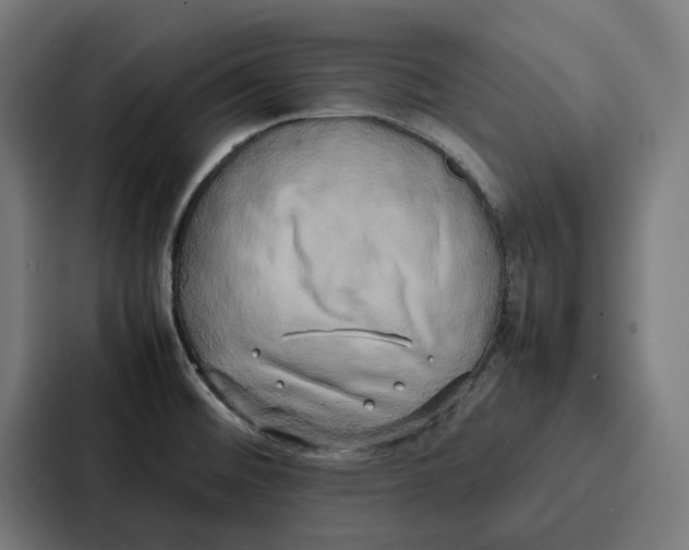 X0000087321476200705112127