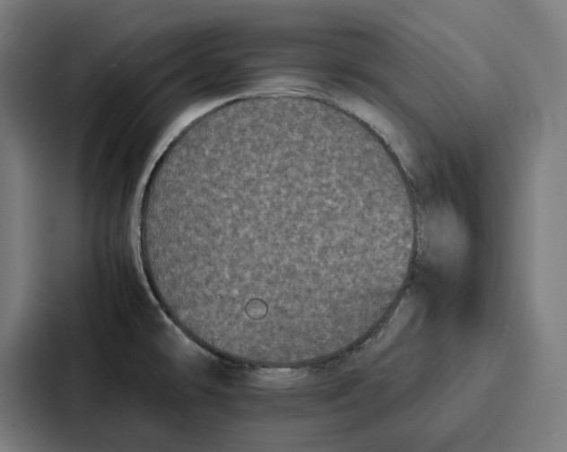 X0000087321478200705112127