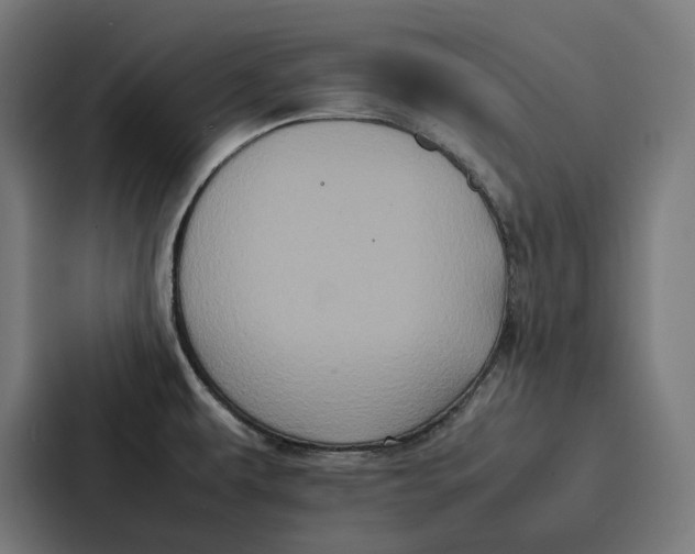 X0000087321479200705112127