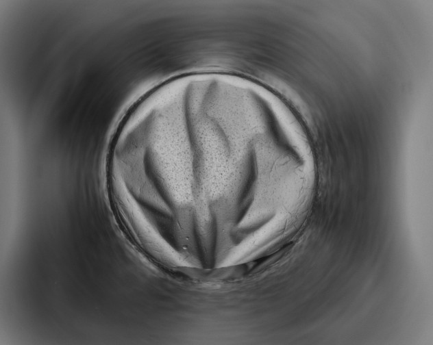 X0000087321480200705112127