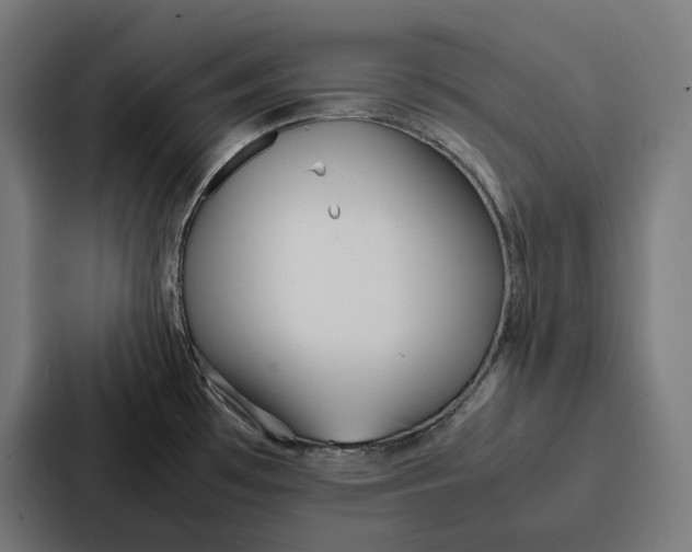 X0000087321481200705112127