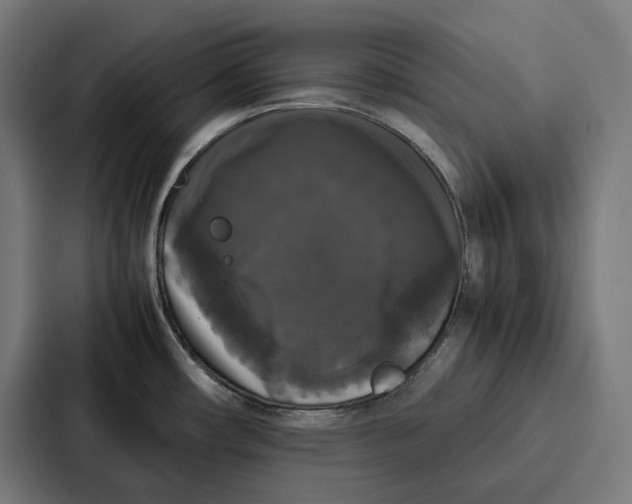 X0000087321482200705112127