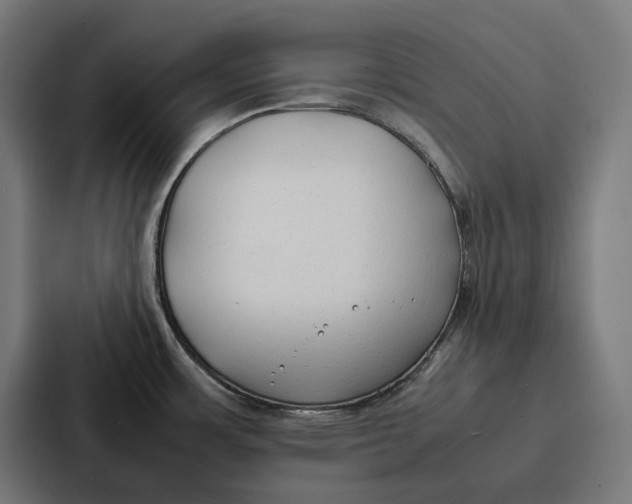 X0000087321483200705112127