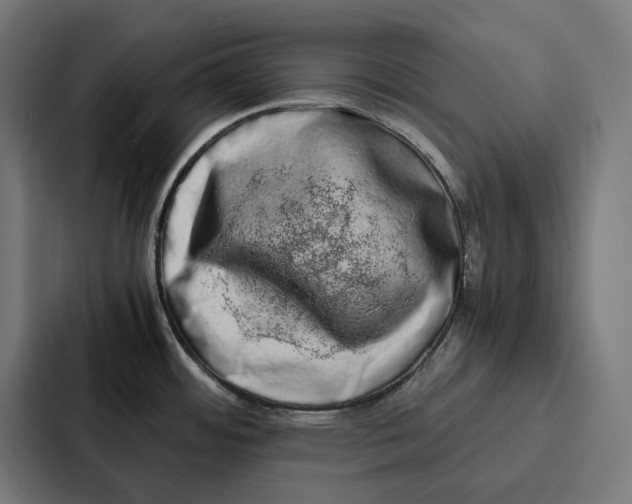 X0000087321484200705112127