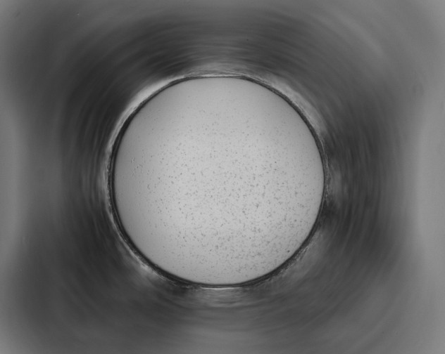 X0000087321486200705112127