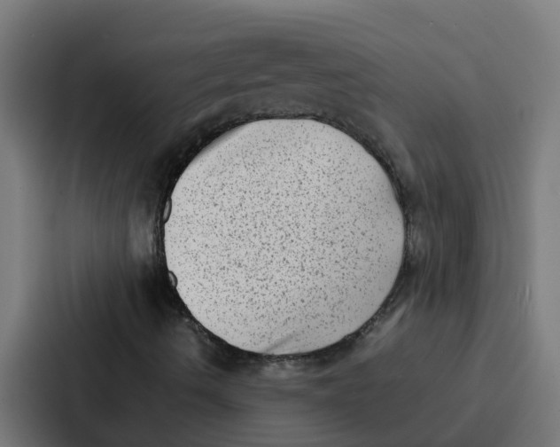 X0000087321490200705112126