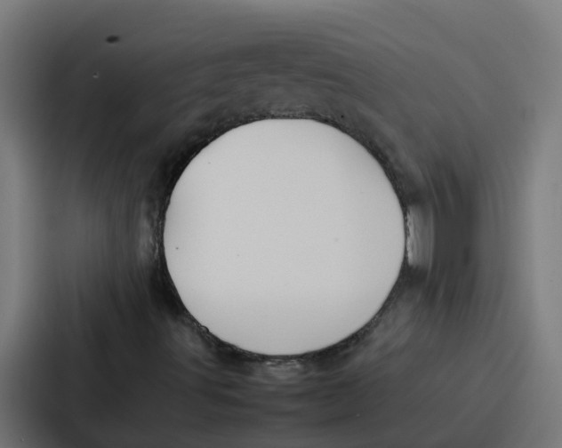 X0000087321491200705112126