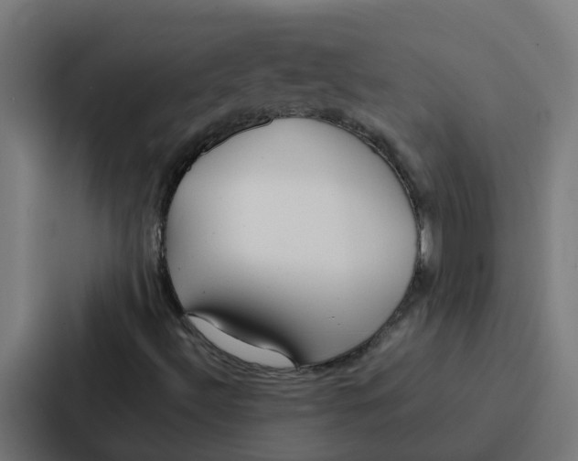 X0000087321492200705112126