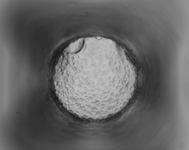 X0000087321494200705112126