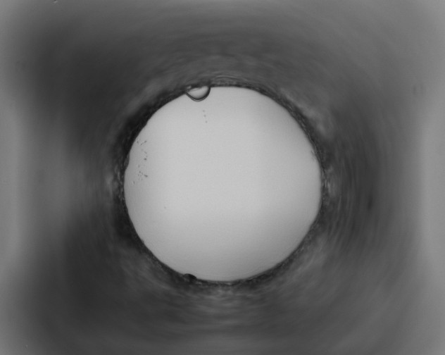 X0000087321495200705112126