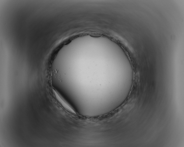 X0000087321496200705112126