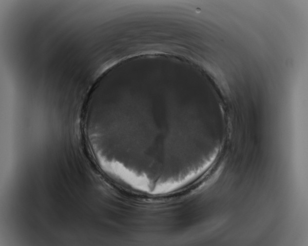 X0000087321497200705112126