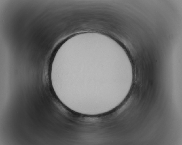 X0000087321498200705112126