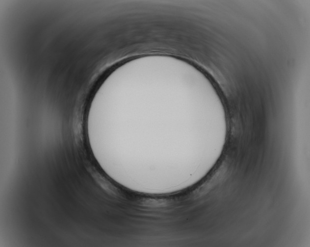 X0000087321499200705112126