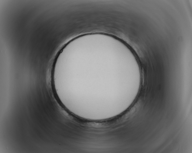 X0000087321500200705112126