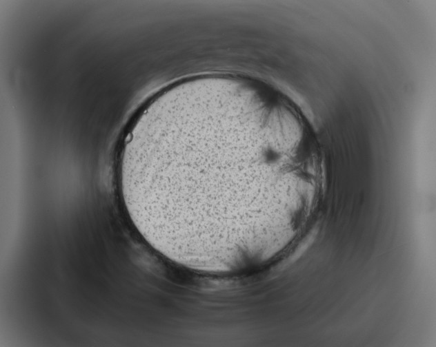 X0000087321501200705112126