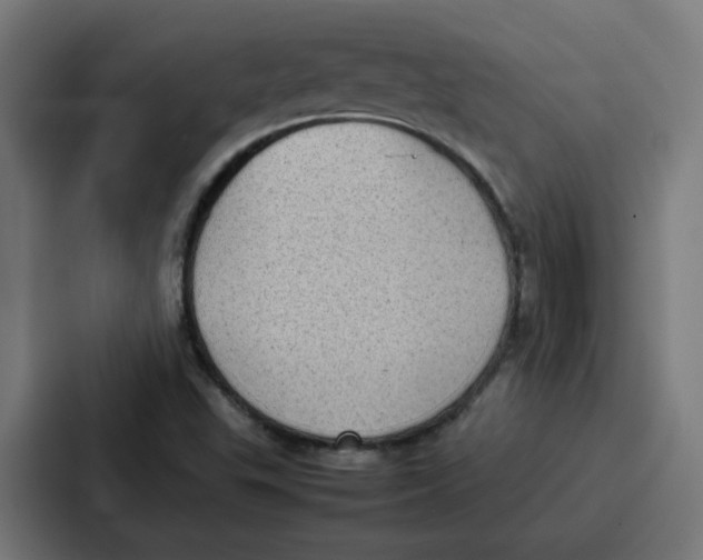 X0000087321503200705112126