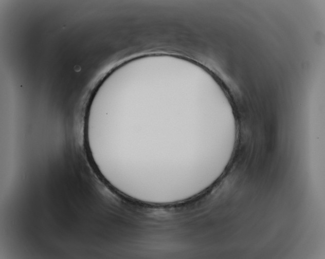 X0000087321504200705112126